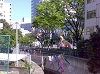 20090428.jpg