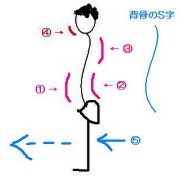 posture5.JPG