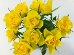 yellowrosesinmay.jpg